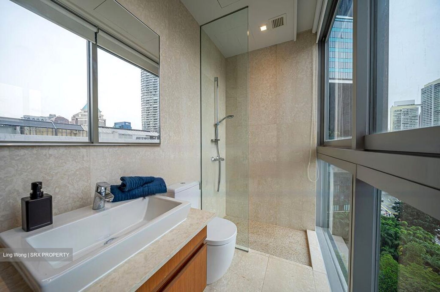 Skyline @ Orchard Boulevard (D9), Apartment #449920741